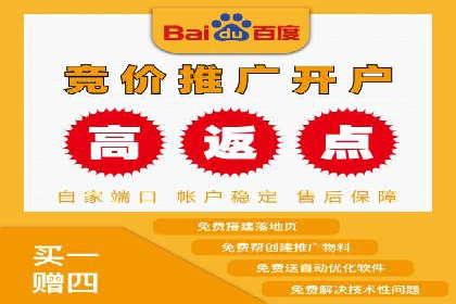 提升转化率：SEM广告投放的实战案例分享